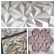 Forma de Gesso 3D ABS 2mm Concha 32x32 cm - Concha